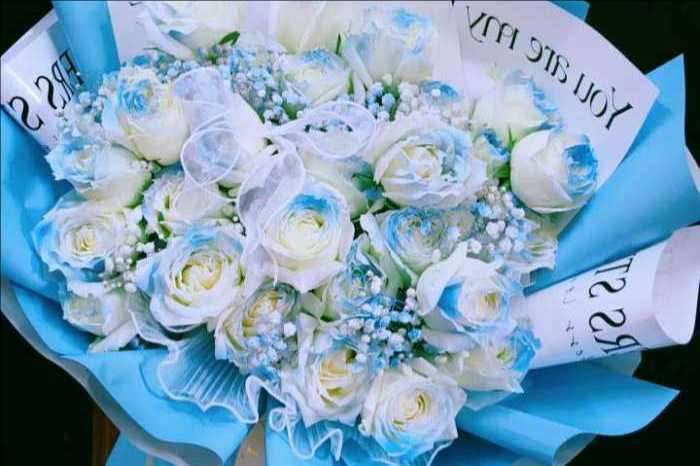 �˳��ǳ��ػ���
