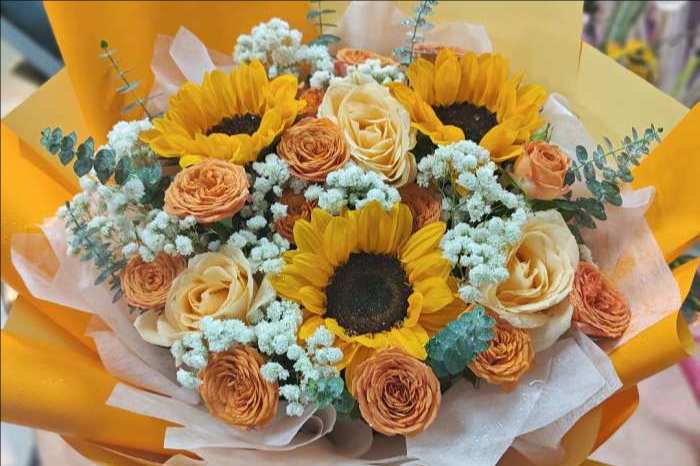�˳��ǳ��ػ���